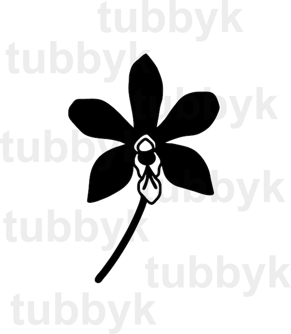 Download Orchid Svg Svg Files Svg Flower Svg Floral Svg Nature Etsy PSD Mockup Templates