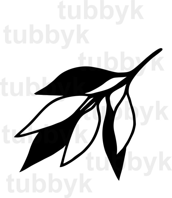 Eucalyptus Svg Leaves Svg Branch Svg Aussie Australia Svg Etsy