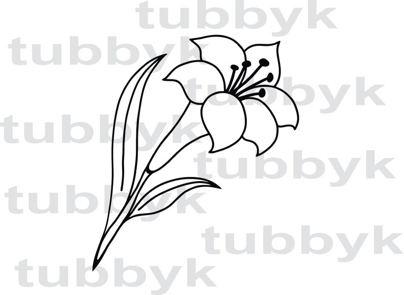 Lily SVG, SVG File, Flower SVG, Plant Svg, Leaves Svg, Cut File ...