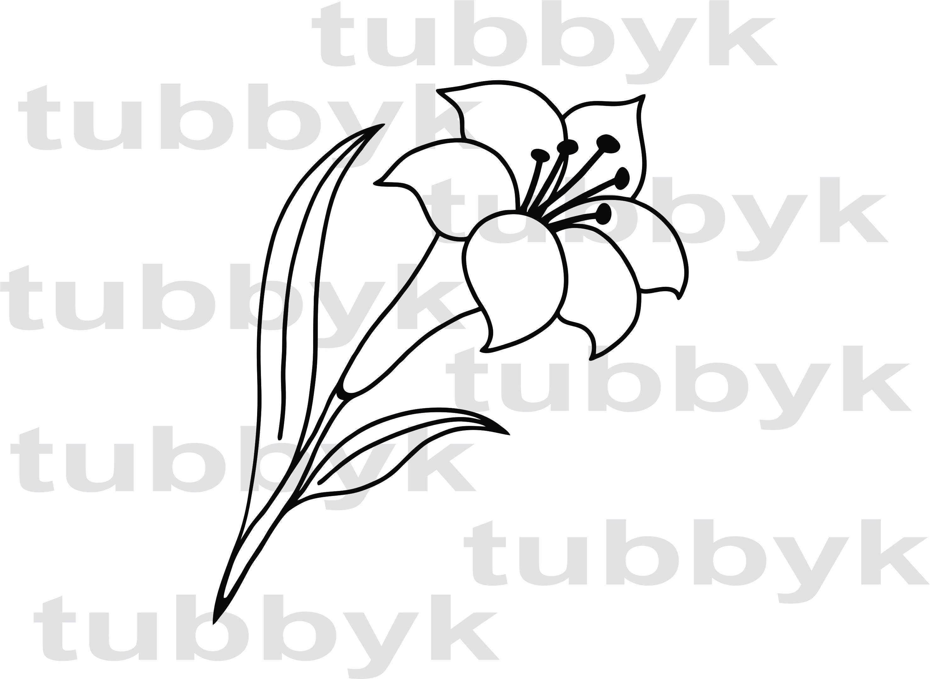 Lily SVG, SVG File, Flower SVG, Plant Svg, Leaves Svg, Cut File