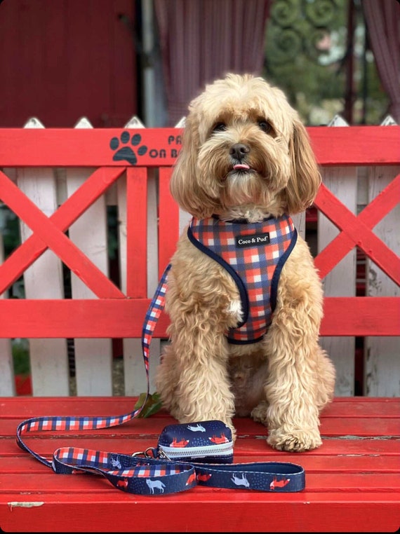 Dog Clothes & Dog Accessories