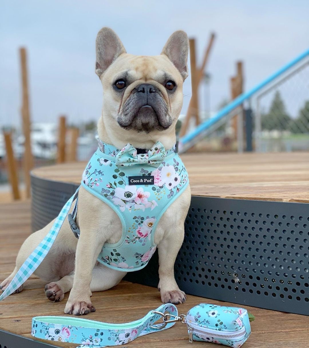 Coco & Pud Provence Rose Dog Harness -  Sweden