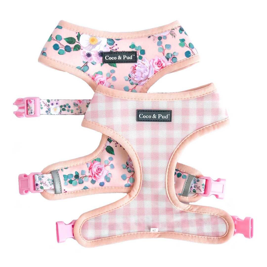 rose dog harness