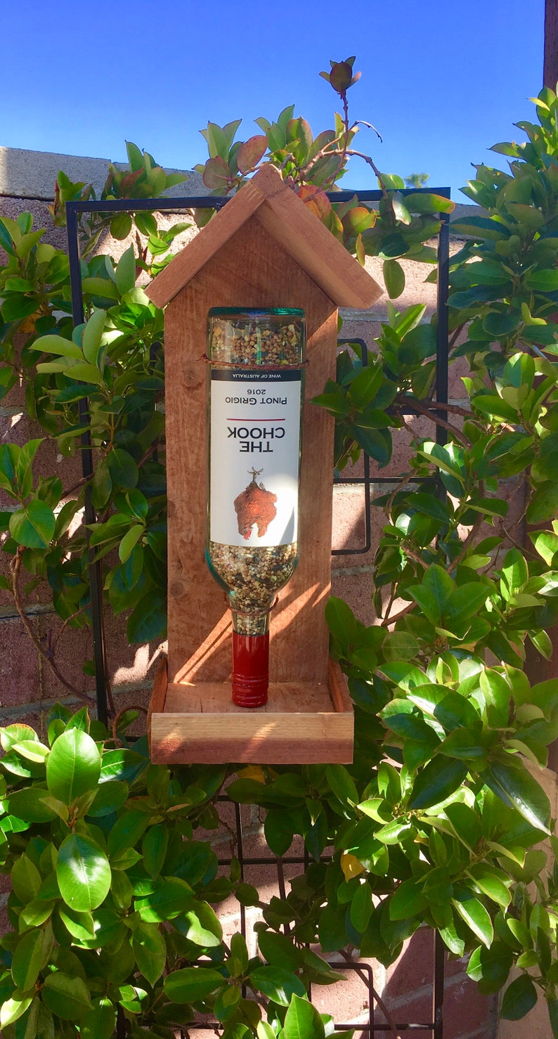 The Chook Bird Feeder Etsy