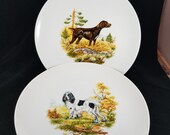 Decorative Porcelain Irish Setter and Pointer Display Collectible Plates Andrea By Sadak Very Nice Set Japan