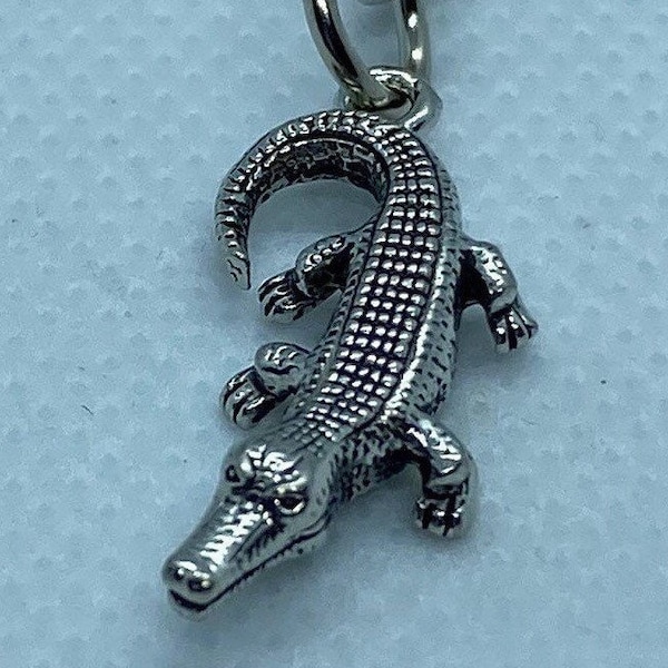 Tiny Alligator/Crocodile