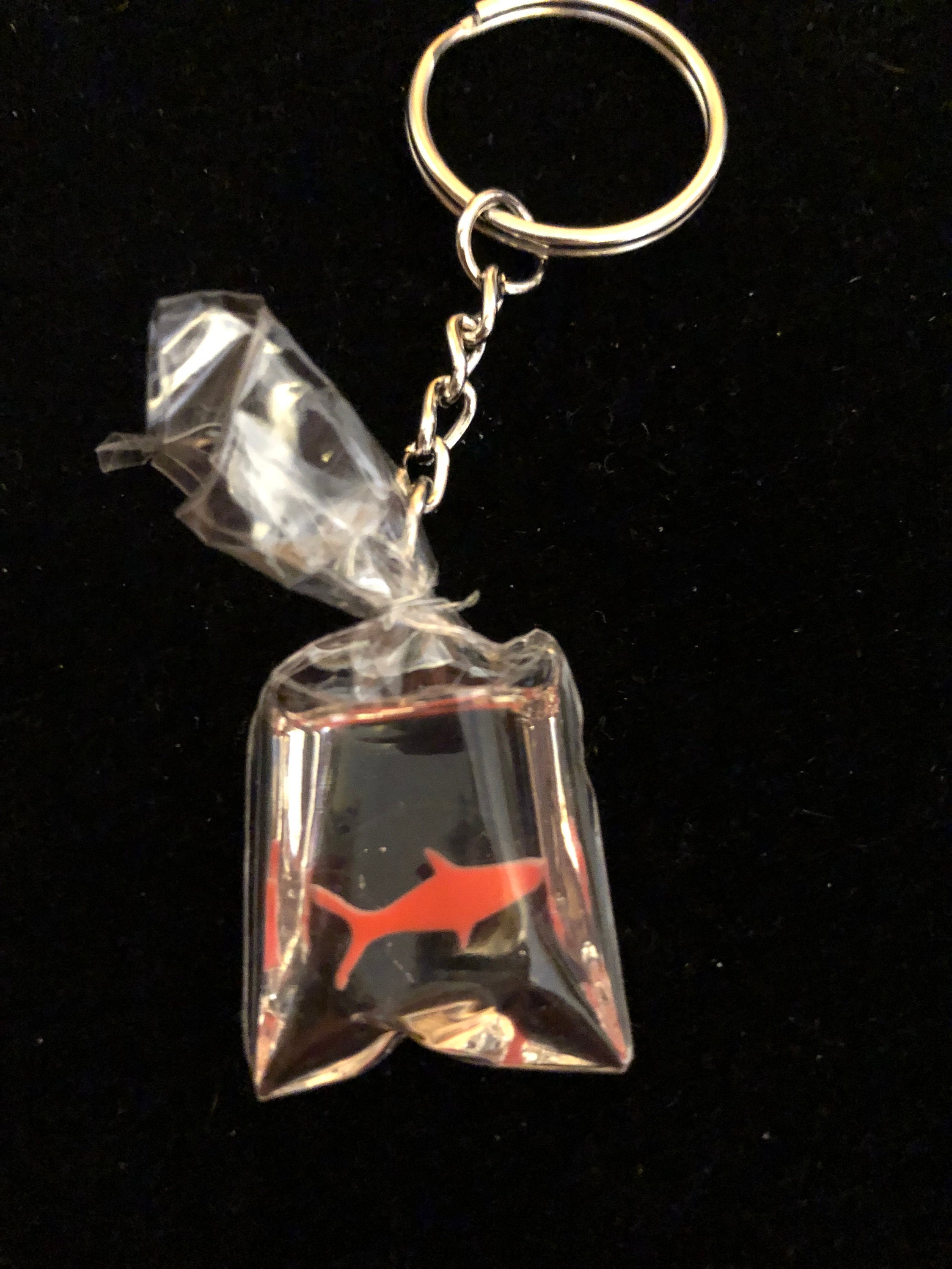 Bag with Goldfish Keychain Etsy