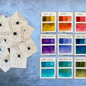 12 dots , ESSENTIAL SET # 1 Handmade granulating watercolor sample dots , Essential colors , dots only