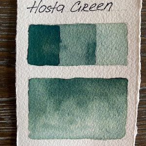Handmade Hosta green granulating watercolor