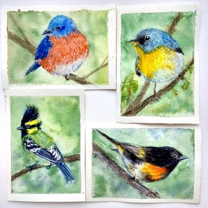 Arte original ACEO Cartões Aceo Pintura original de pássaros Arte em aquarela Aceo Cartões de troca de artistas 2,5x3,5 ATC miniatura Presentes para observação de pássaros