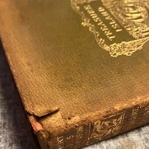 Pu&ograve; includere: Un libro rilegato in pelle marrone usurato con lettere dorate sul dorso che recitano "L'isola del tesoro" di Robert Louis Stevenson.
