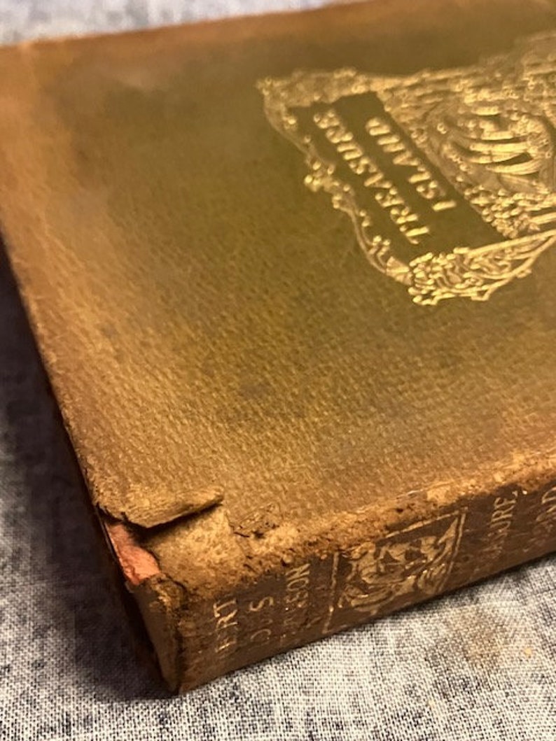 Pu&ograve; includere: Un libro rilegato in pelle marrone usurato con lettere dorate sul dorso che recitano "L'isola del tesoro" di Robert Louis Stevenson.