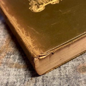 Pu&ograve; includere: Primo piano del dorso di un libro usurato, rilegato in pelle verde con lettere dorate e un disegno decorativo. Il libro &egrave; appoggiato su una superficie di tessuto strutturato.