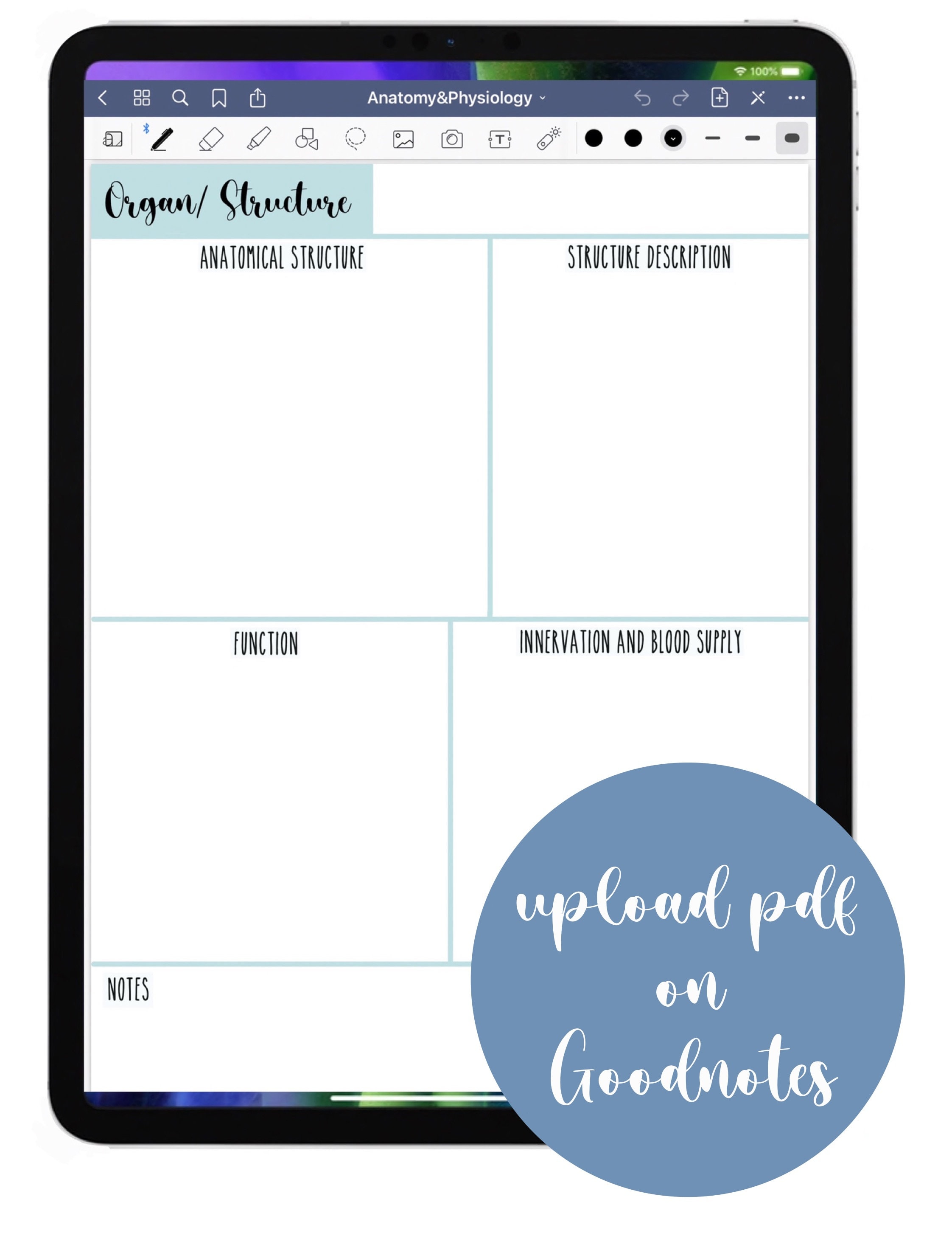 ANATOMY&PHYSIOLOGY Notes/Study Guide PDF | Etsy