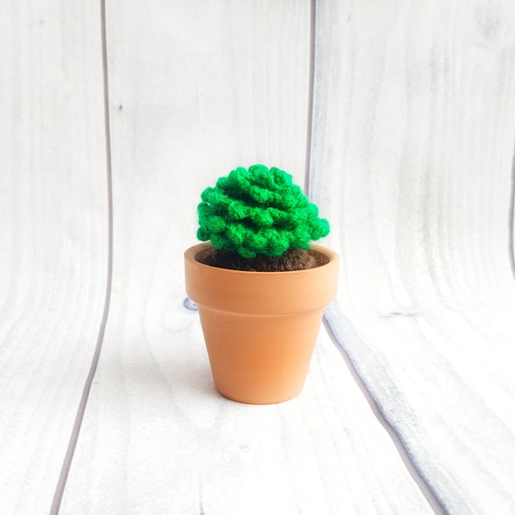 Crochet Cacti Amigurumi Cactus Desk Plant Cute Cactus Knit Etsy