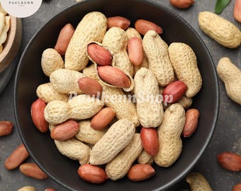 25 Pcs Bailey II Virginia Peanut Seeds Arachis Hypogaea