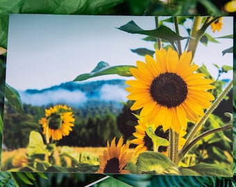 Sunflower Portrait Greeting Cards (5 pack - 5x7 card + envelope)