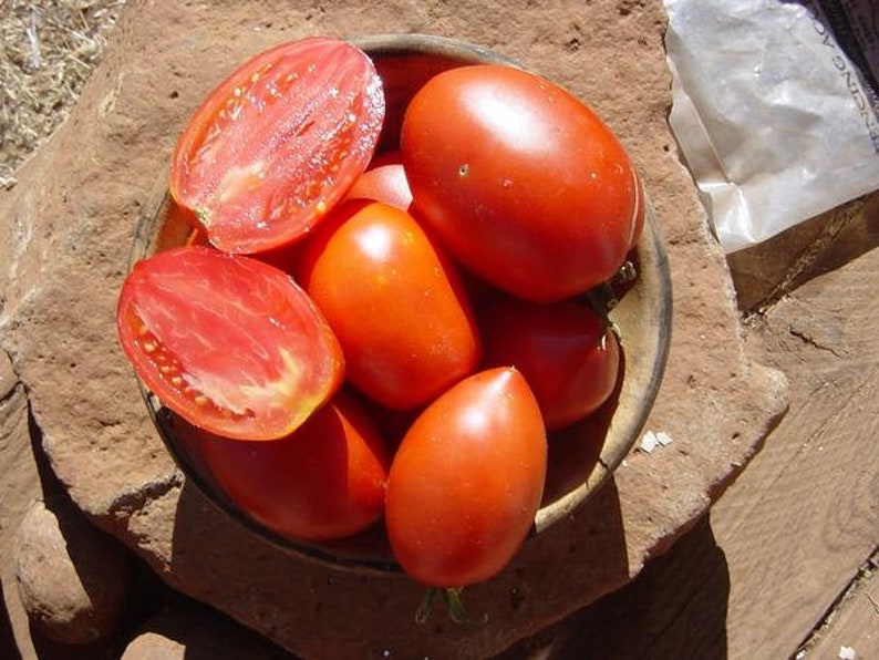 30 Heirloom Amish Paste Tomato Seeds Non Gmo Organic Etsy
