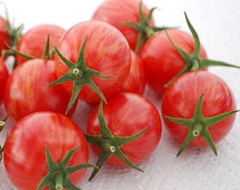 Sunset Bumble Bee Cherry Tomato Seeds, Organic, Non Gmo