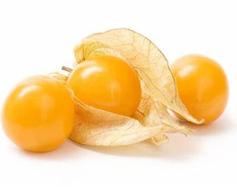 30 Ground Cherry Seeds, Physalis Peruviana, Heirloom, Cape Gooseberry, Organic, Non Gmo