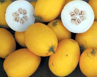 May include: A collection of yellow and white Armenian cucumbers. Some are whole, while others are cut in half, revealing the seeds. The cucumbers have a smooth, oblong shape and a vibrant yellow color.