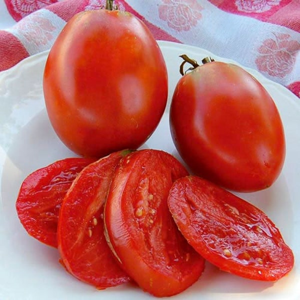 40 Heirloom Amish Paste Tomato Seeds, Non Gmo, Organic,  Great for Sauce