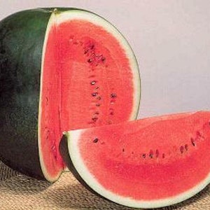 30 Sugar Baby Watermelon  Heirloom Seeds, Organic, Non Gmo, From USA, 1 day SHIPPING
