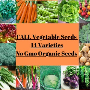 Fall Vegetable Seed Kit 14 Variety Heirloom Organic Non Gmo 3000 SEEDS - Food Seeds - Survival Seeds