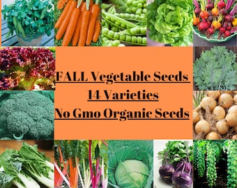 Fall Vegetable Seed Kit 14 Variety Heirloom Organic Non Gmo 3000 SEEDS - Food Seeds - Survival Seeds