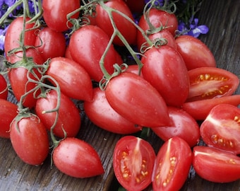 Artisan Maglia Rosa Tomato Seeds Non Gmo, Organic - by Seedstocherish