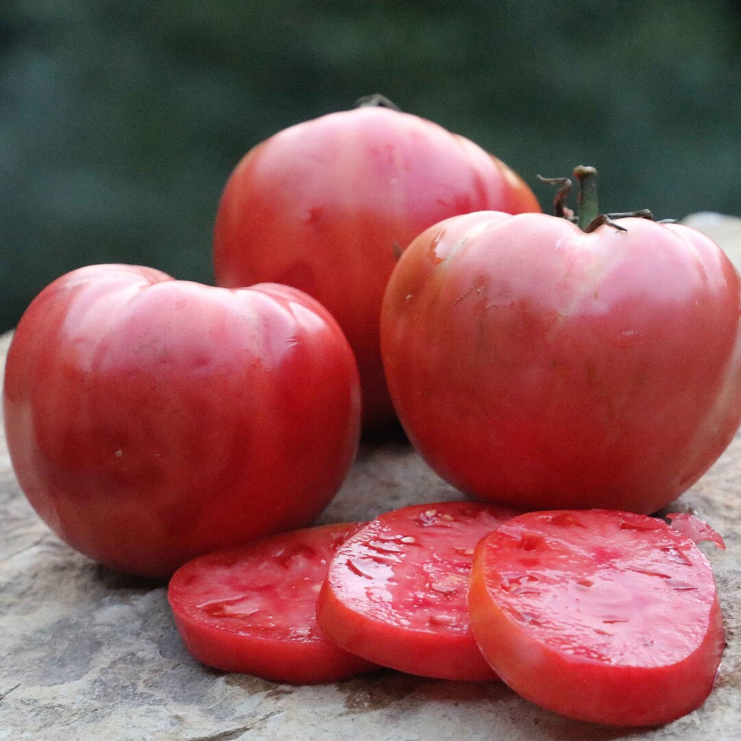 30 German Pink Tomato Seeds Heirloom, Organic, Non Gmo, Beefsteak