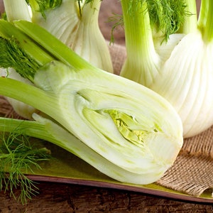 200 Fennel Heirloom Seeds, Heirloom, Non Gmo, Organic