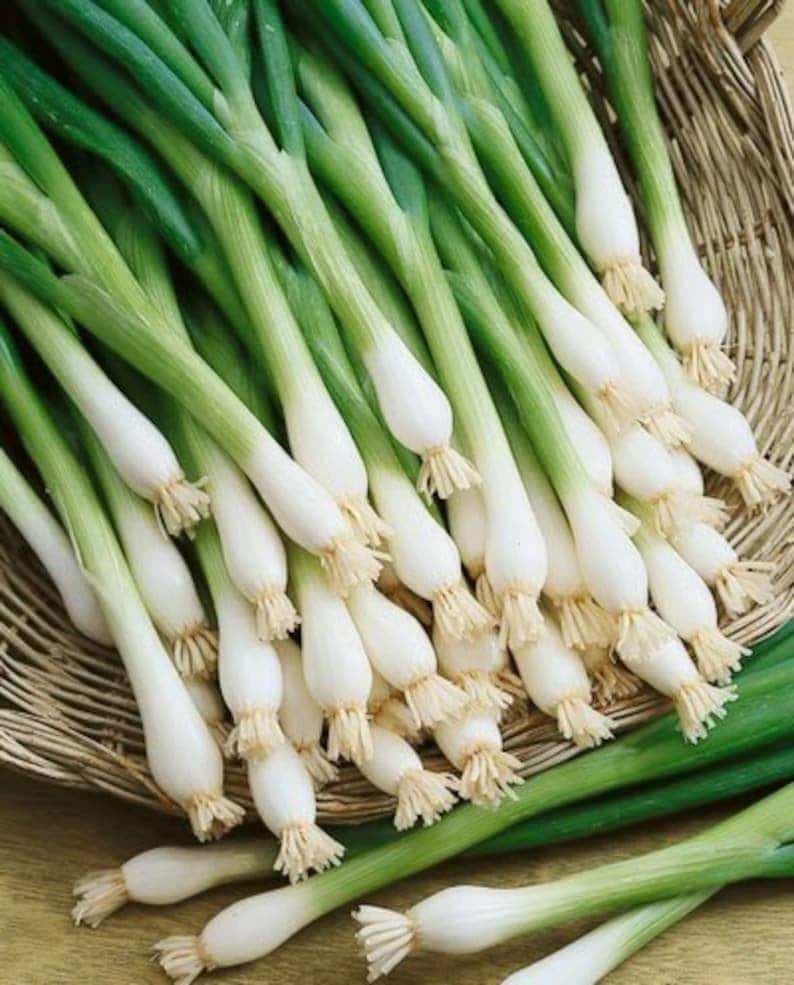 May include: A bunch of fresh green scallions with white bulbs, arranged in a woven basket.
