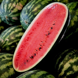 Watermelon Seeds - Congo Watermelon, Organic, Non Gmo