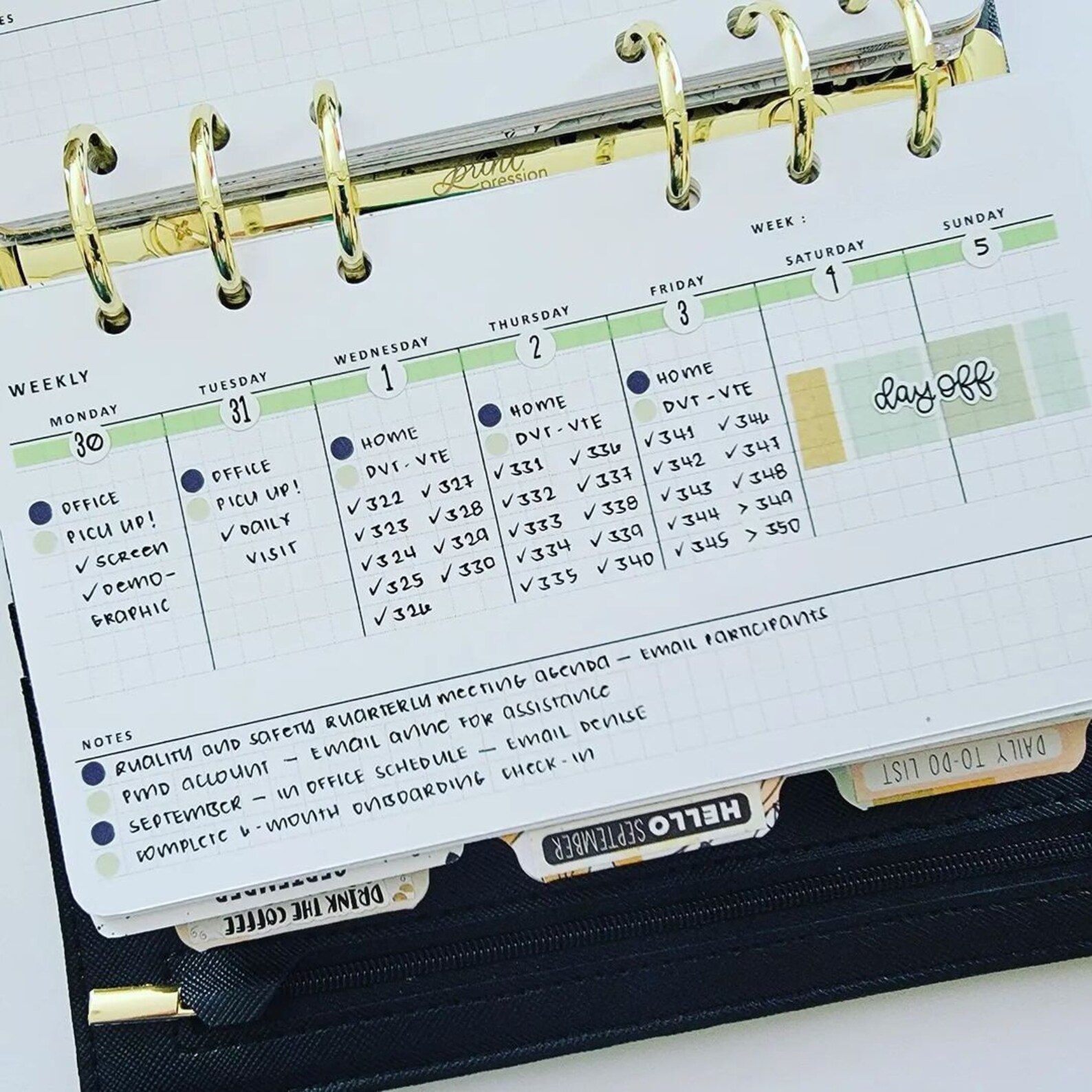 Week on 1 Page WO1P Horizontal Weekly Planner Printable - Etsy
