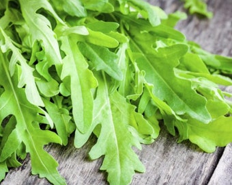 500 Arugula Seeds - aromatic plant - vegetable garden vegetables - Reproducible Peasant Seeds - untreated