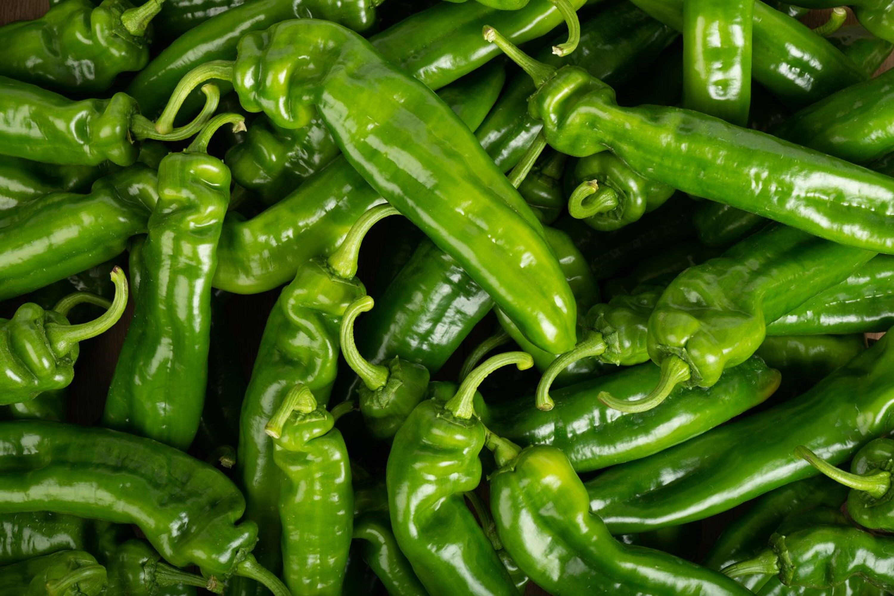 50 Graines de Poivron Corne Bœuf - Légumes Jardins Potager Semences Paysannes Organic Seeds