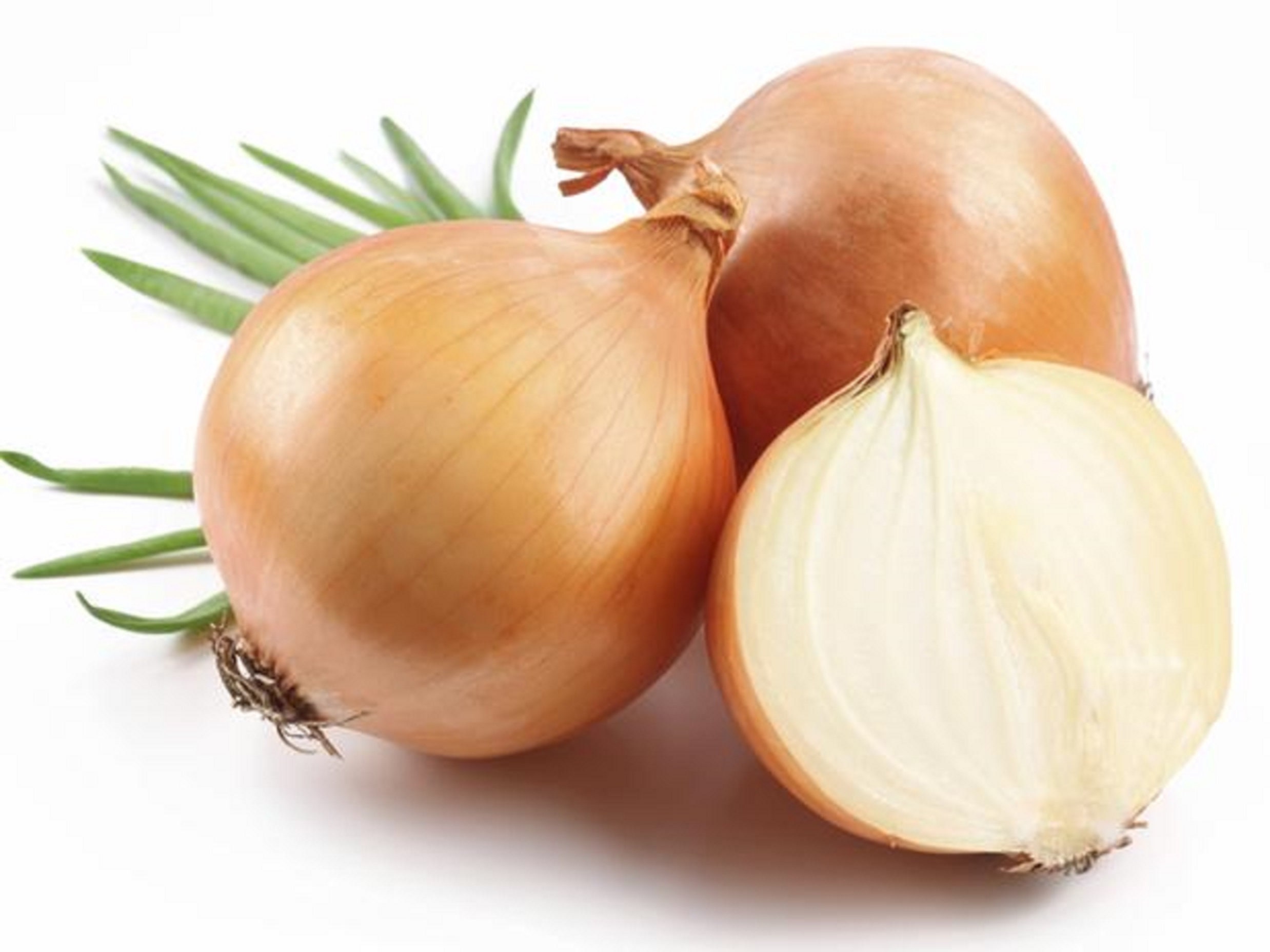 250 Graines d'oignon Jaune Paille - Légumes Potager Aromatique Semences Paysannes Organic Seeds