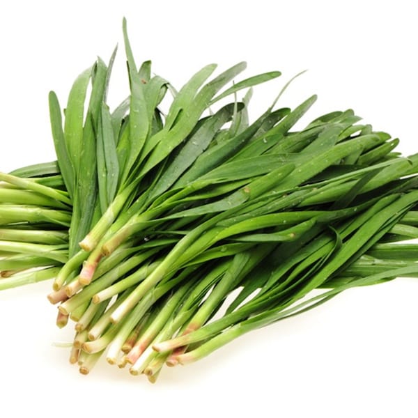 150 Chinese Spring Onion Seeds - aromatic plant - vegetable vegetables - Reproducible Peasant Seeds - untreated