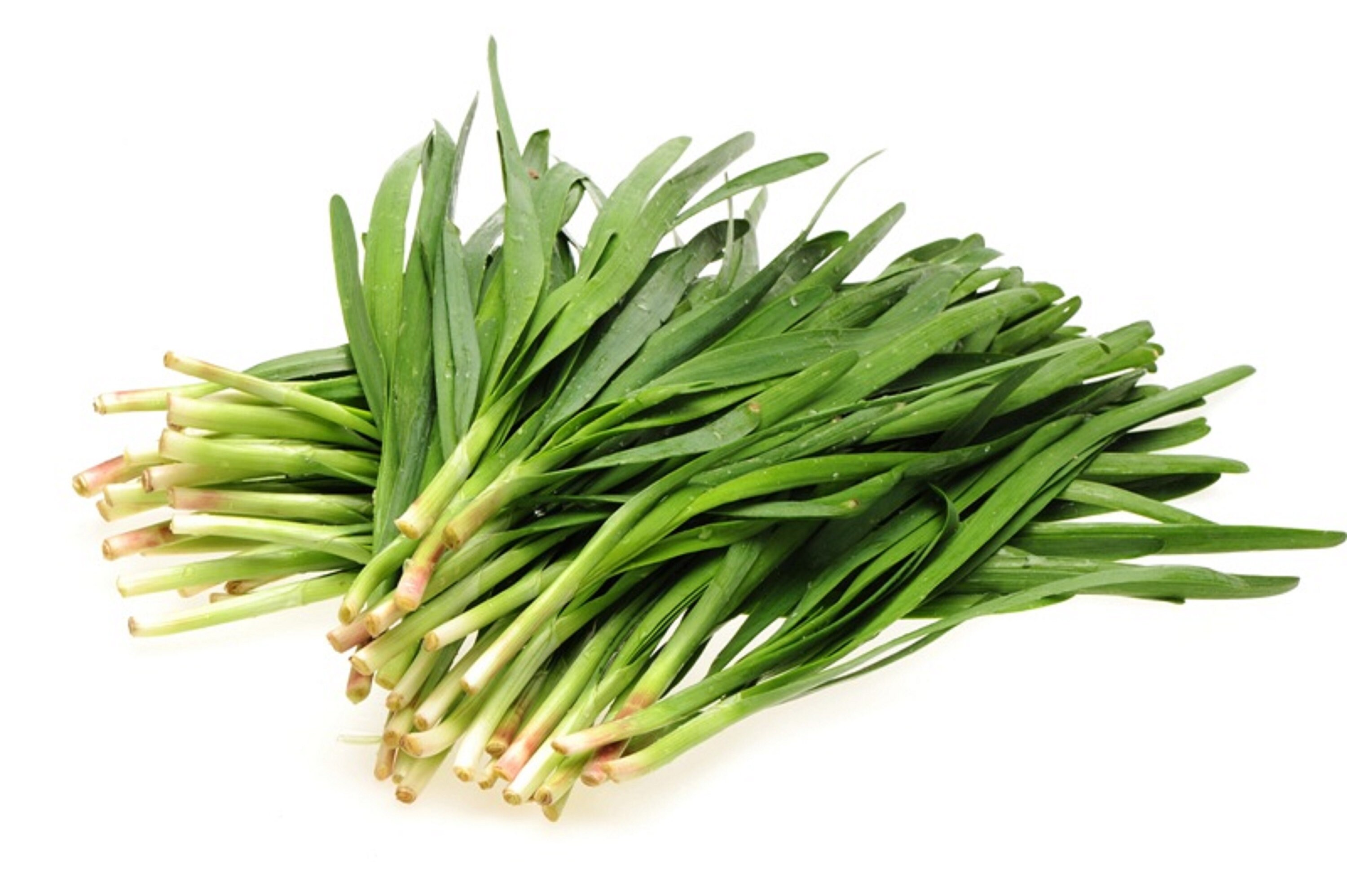 150 Graines de Ciboule Chine - Plante Aromatique Légumes Potager Semences Paysannes Organic Seeds