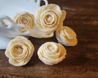 May include: Five cream-colored flowers with layered, thin petals arranged in a circular, rose-like pattern. The flowers are positioned near a white, scalloped-edge ceramic dish, showcasing a natural, off-white hue and delicate, curved petal structures.