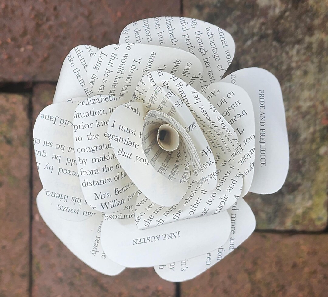 Jane Austin Roses Jane Austen's Pride and Prejudice Book Roses. - Etsy