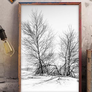 Forest Printable 10 Formats Tree Wall Art Tree Print Wall | Etsy