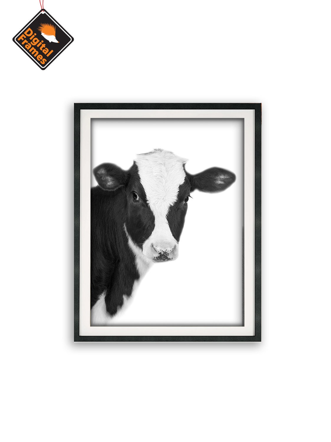 Cow Printable Wall Art, 10 Formats, Farm Animals, Cow Photo, Farmhouse