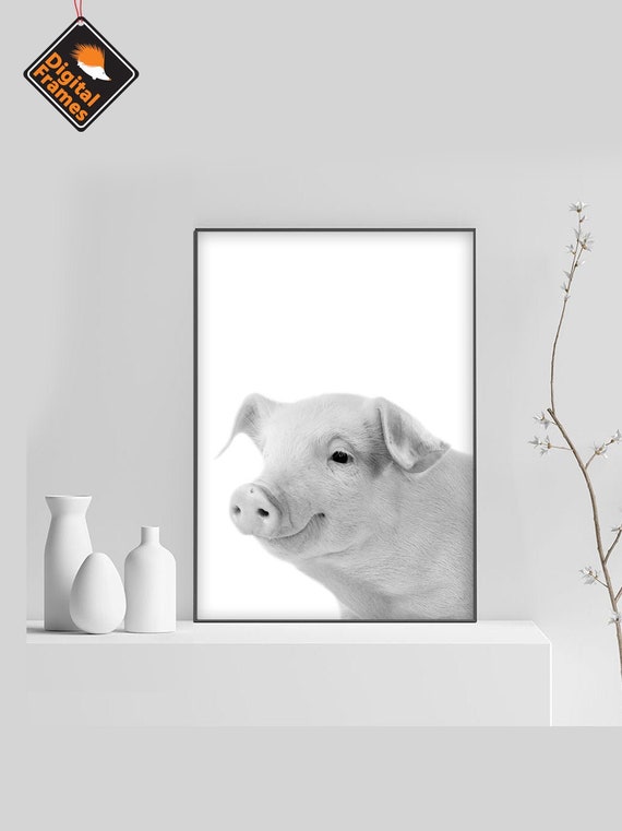 Pig Printable Wall Art 10 Formats Farm Animals Pig Photo Etsy