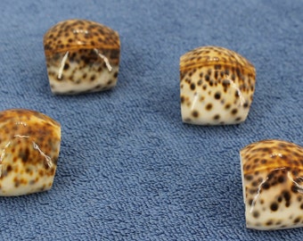 Cowrie Sea Shell Leopard Spots Napkin Ring Holders Set of 5 Coastal Motif Decor