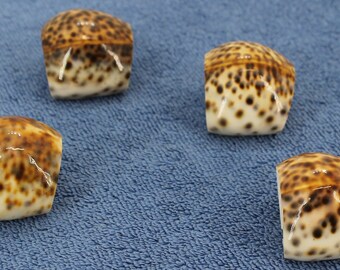 Cowrie Sea Shell Leopard Spots Napkin Ring Holders Set of 4 Coastal Motif Decor