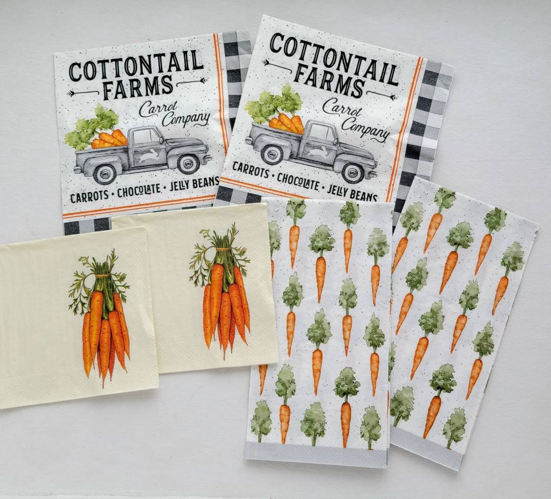 Decoupage Paper Napkins 6 Pcs/2 of Ea Cottontail Farms Etsy
