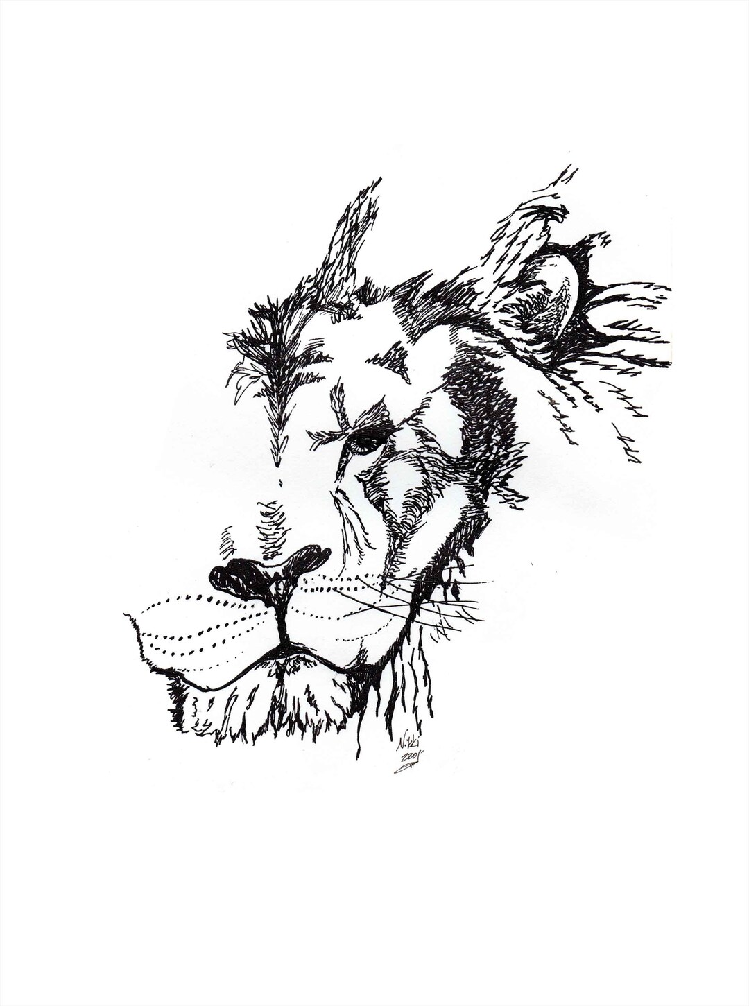 Lion - Original Art - Ink Drawing - Etsy