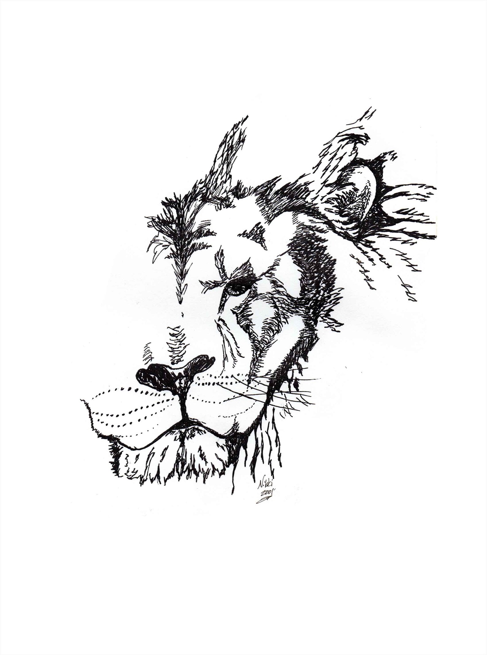 Lion - Original Art - Ink Drawing - Etsy